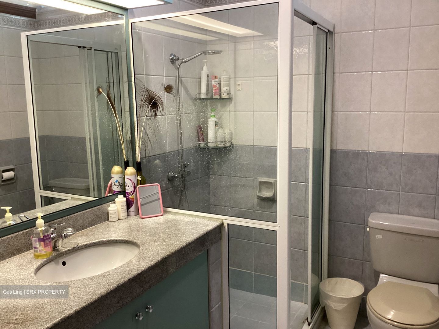 Henry Park (D10), Detached #511187381
